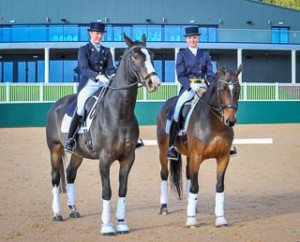 Pair of Dressage horses and riders dressage photography