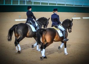 Pair of Dressage horses and riders equestrian photography northampton