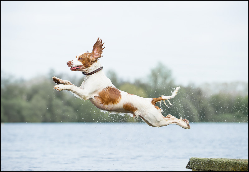 Mark_Eaton_Photographer_Northampton_00003